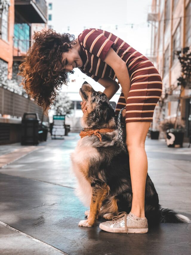 cachorro feliz (4)
