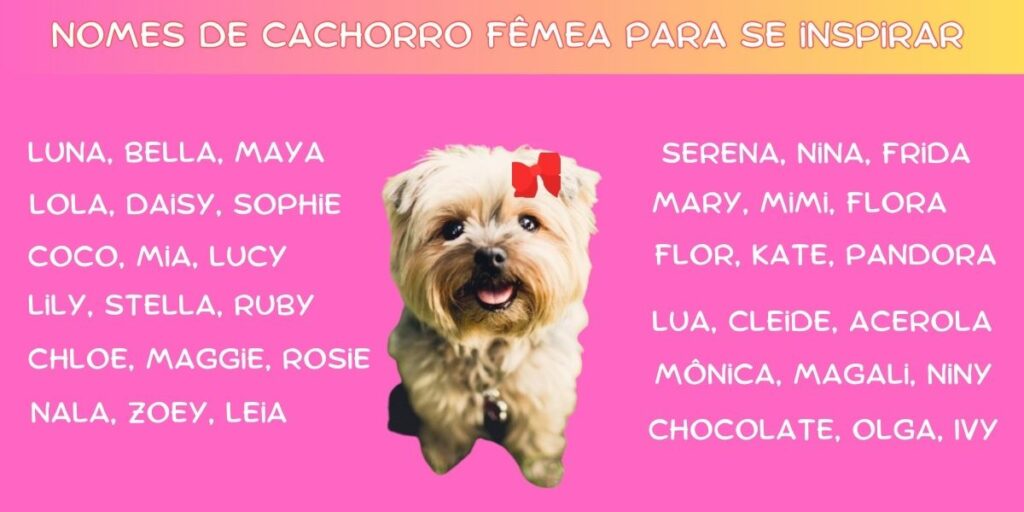 150 opções criativas de nomes de cachorro fêmea para se inspirar