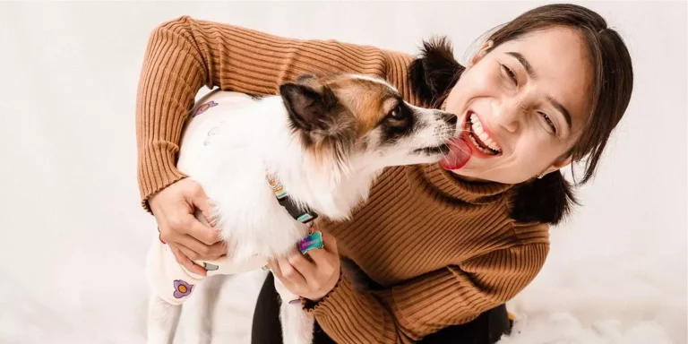Porque os cachorros lambem os donos?